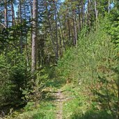 abstieg schmetterlingsweg bei gugge