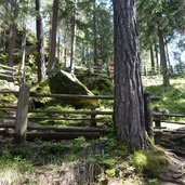 franziskusweg taufers reinbachfaelle