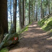 wanderweg b nach ahornach