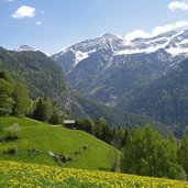 ahornach blick richtung schneebiger nock bis windschar fr