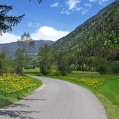 durchs toul weg radweg tauferer tal bei einoedhof fruehling