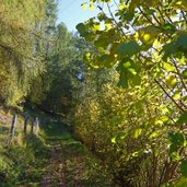 wanderweg oberhalb von innichen herbst