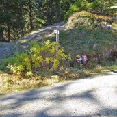 weg silvestertal von vierschacher berg nach bodeneck