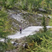 mtb radfahrer auf forstweg karlbader huette