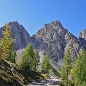 forstweg zur karlbader huette mit gamswiesenspitzen und blosskofel