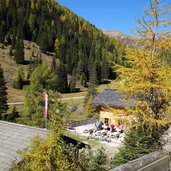 silvestertal silvesteralm herbst wald