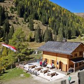 silvestertal silvesteralm herbst wald