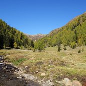 silvestertal silvesteralm herbst wald