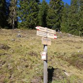 toblacher hoehenweg silvestertal herbst