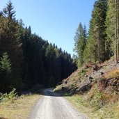 toblacher hoehenweg silvestertal herbst