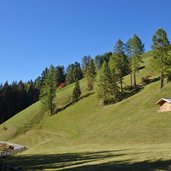 herbstlandschaft silvestertal am toblacher hoehenweg