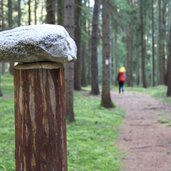 Archaeologischer Panoramaweg 