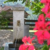 Issing Dorfbrunnen Geranien