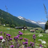 prettau ahrntal