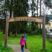 PeerRS C grieswaldile toblach spielplatz person