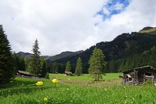 kristeinertal almwiesen