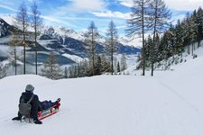 abfahrt winter rodelbahn speikboden