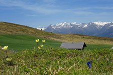 fruehling bei burgstallalm