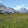 RS bluehende wiese glockenblumen landepiste sennes huette dahinter hohe gaisl und monte cristallo