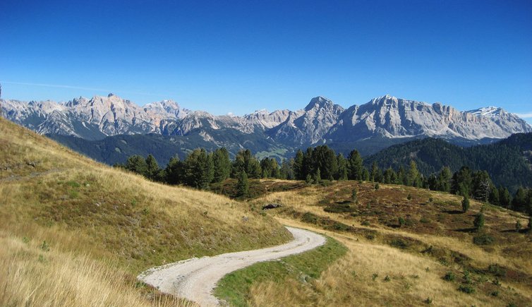 weg von maurerberg huette nach pe de boerz herbst