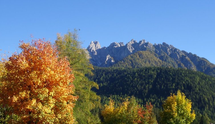 RS herbst neutoblach toblach dahinter haunold