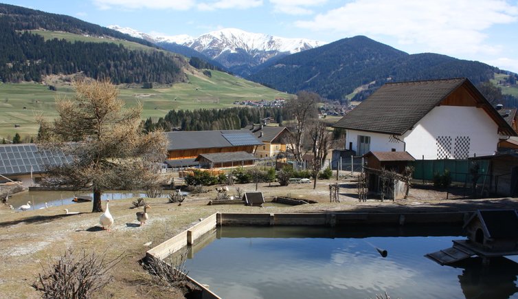 RS tierpark toblach