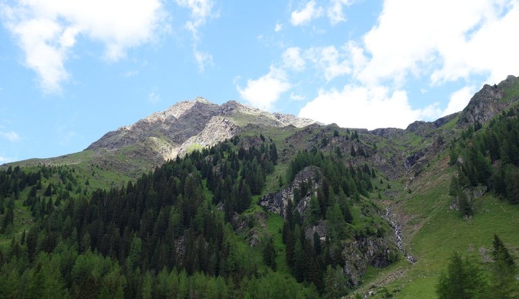 RS C innervillgraten oberstaller alm arntal blick auf weisse spitze