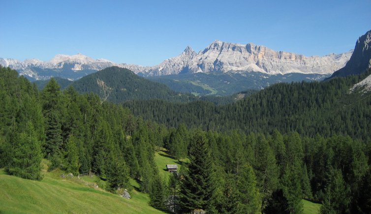 RS wald bei munt d adagn blick auf fanesgruppe