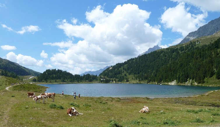 RS defreggen staller sattel obersee