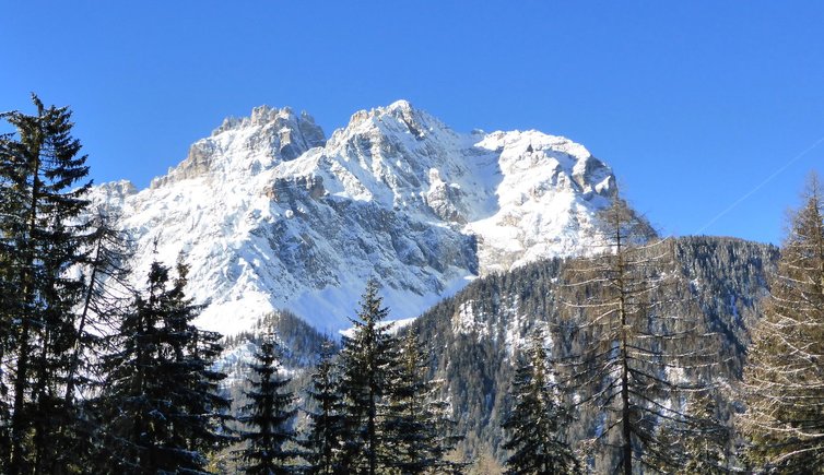 RS schusterplatte und dreischusterspitze von nemesweg aus