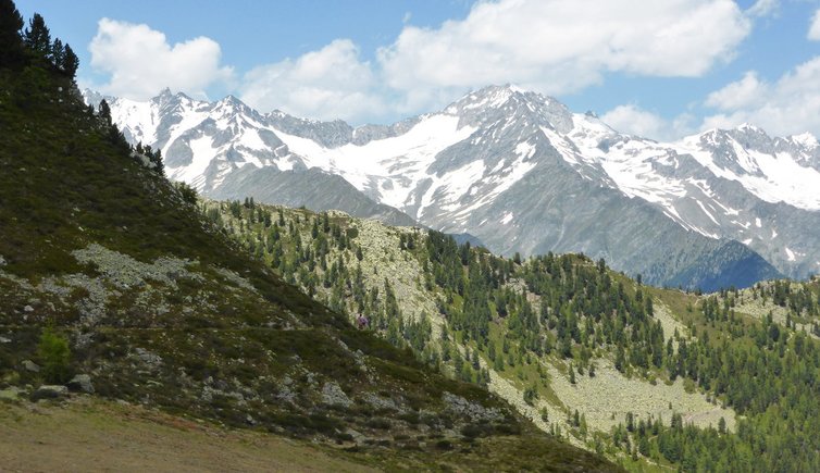 RS aussicht zillertaler alpen